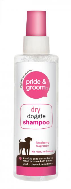 DRY SHAMPOO SPRAY 200ML